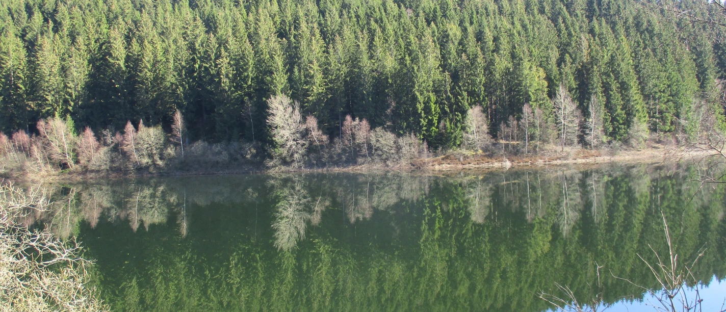 Die Route führt durch das Oberharzer Wasserregal