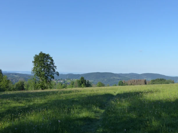 Descent with a view of St. Andreasberg and the South Harz
