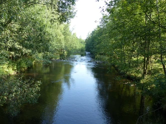 Die Innerste