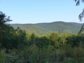 Blick im Bereich der Roten Klippen auf die Harzer Wälder