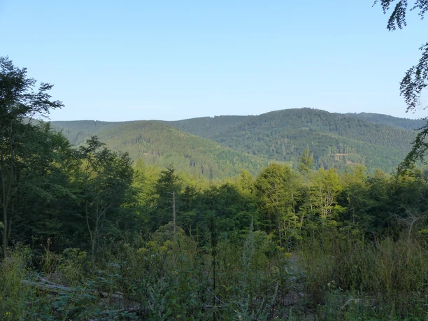 Blick im Bereich der Roten Klippen auf die Harzer Wälder