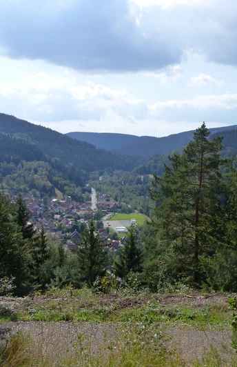 Blick vom Bielstein nach Lautenthal