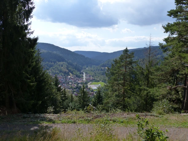 Blick vom Bielstein nach Lautenthal