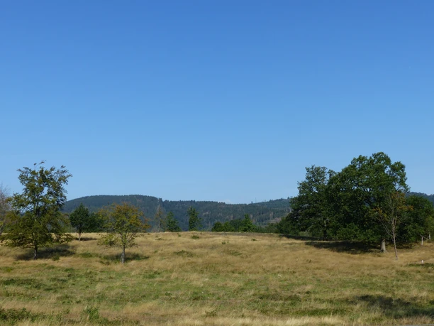 Berge in der Nähe von Wolfshagen