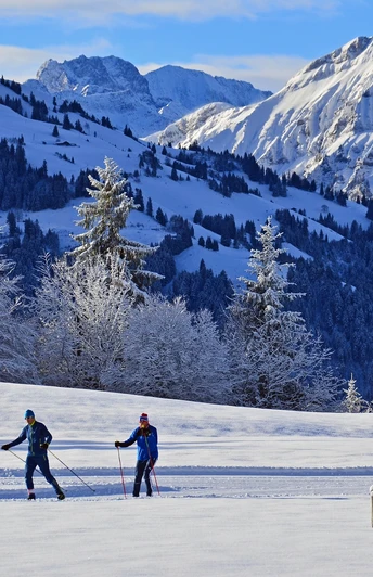 Langlaufloipe Aeschiried