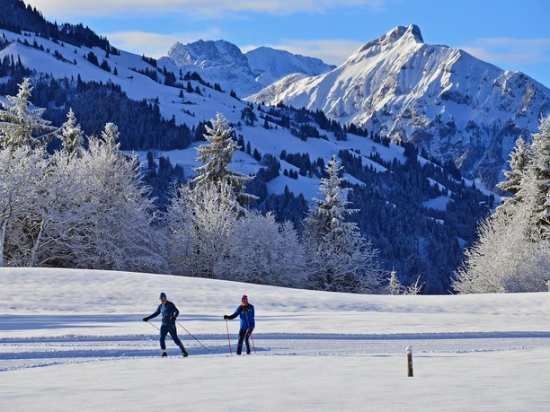 Piste de ski de fond Aeschiried