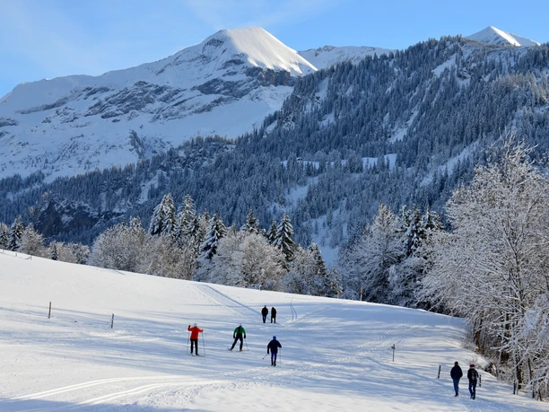 Piste de ski de fond Aeschiried