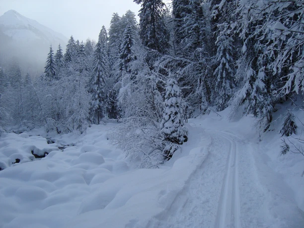 Piste de ski de fond Aeschiried