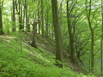 gypsum karst area