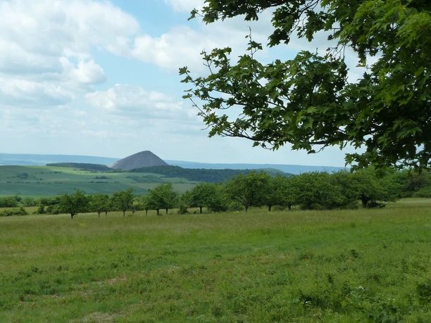 Gipskarstlandschaft bei Pölsfeld