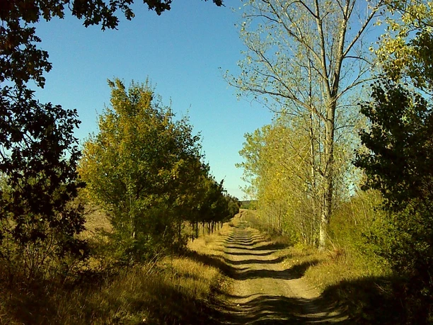 Weg zur Steinholzwarte
