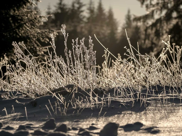 Winterlandschaft Oben im Harz
