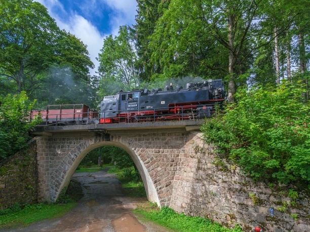 Brockenbahn in Elend