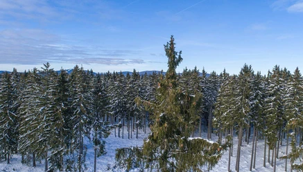 Winterlandschaft OBEN im HARZ