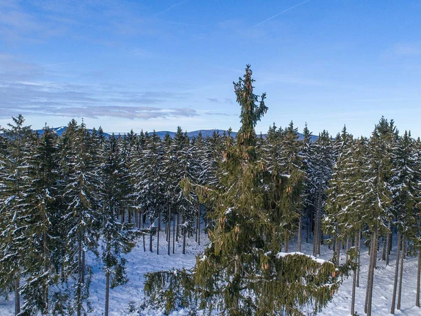 Winterlandschaft OBEN im HARZ
