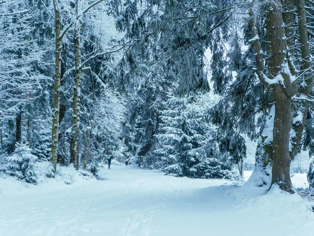 Winterwanderweg OBEN im HARZ
