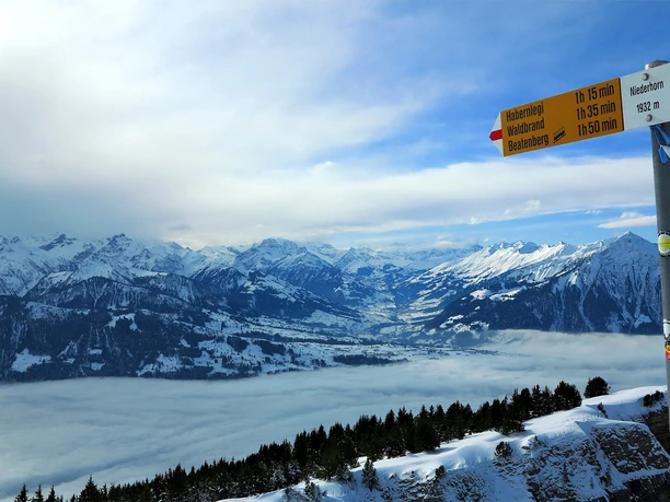 Wegweiser auf dem Niederhorn.