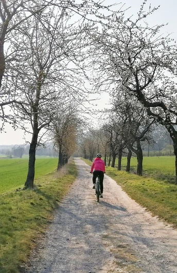 Kirschblüte am Helsunger Weg
