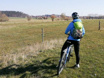 Blick zum Kamelfelsen in Westerhausen