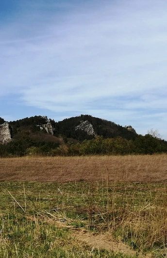 Blick zum Regensteinmassiv