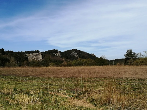 View of the Regenstein massif