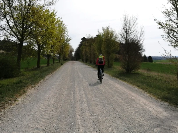 Gravel path towards Börnecke