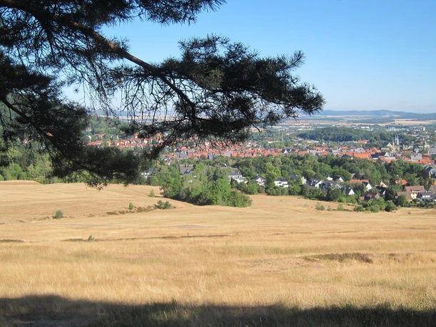 Harz-Rundweg 1. Etappe - Aussicht Blauer Haufen Goslar
