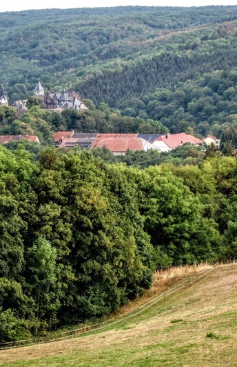 Harz-Rundweg 2. Etappe - Rammelburgblick