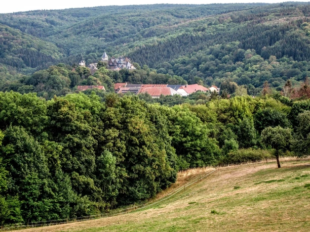 Harz-Rundweg 2. Etappe - Rammelburgblick