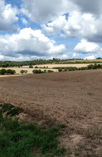Harz-Rundweg 3. Etappe - Bei Harzungen