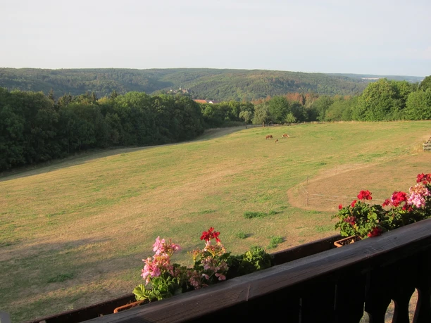 Harz-Rundweg 3. Etappe - Rammelburgblick