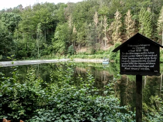 Harz-Rundweg 4. Etappe - Steinatal