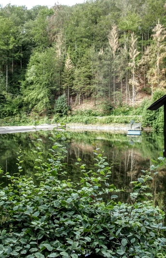 Harz-Rundweg 4. Etappe - Steinatal