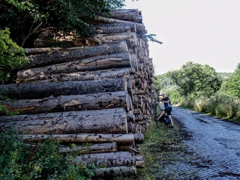 Harz-Rundweg 5. Etappe - Holzpolter