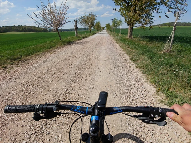Weg von Börnecke Richtung Spiegelsberge