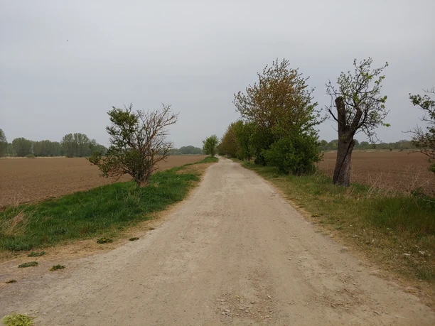 Lagerweg Richtung Ditfurt