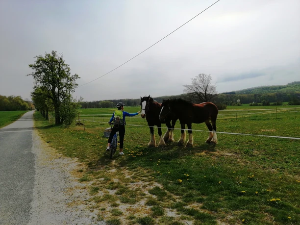Village idyll near Wienrode