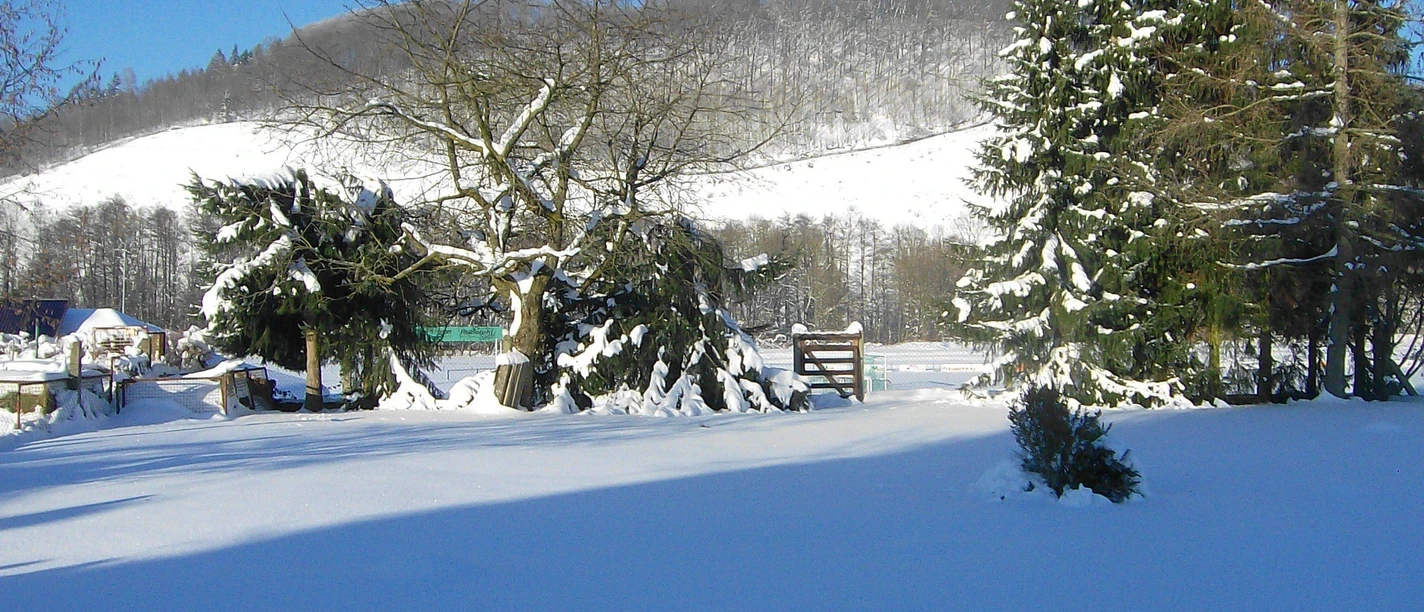 Zubringerweg zur Südharzloipe