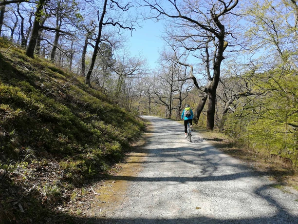 Gemütlicher Anstieg am Herzogsweg