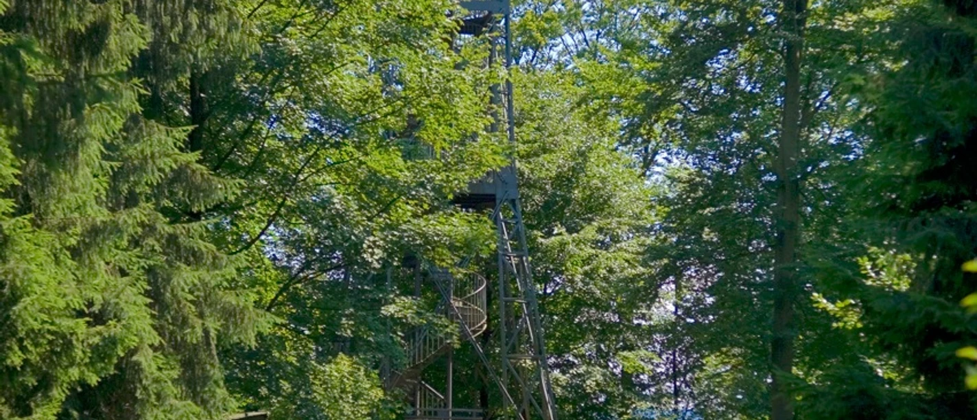 Lerbach Kuckholzklippe