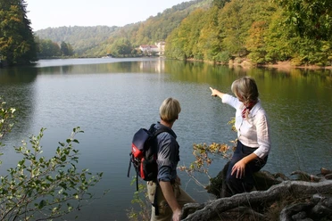 Wiesenbeker Teich