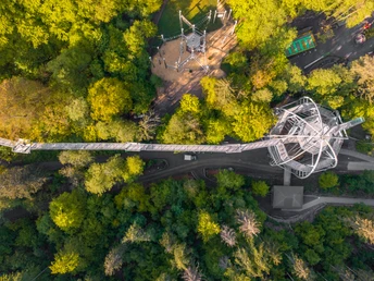 Baumwipfelpfad Harz Draufsicht
