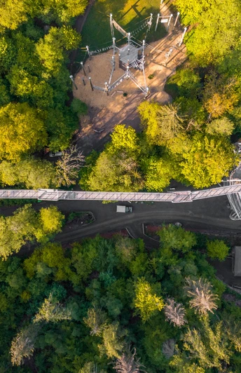 Baumwipfelpfad Harz Draufsicht