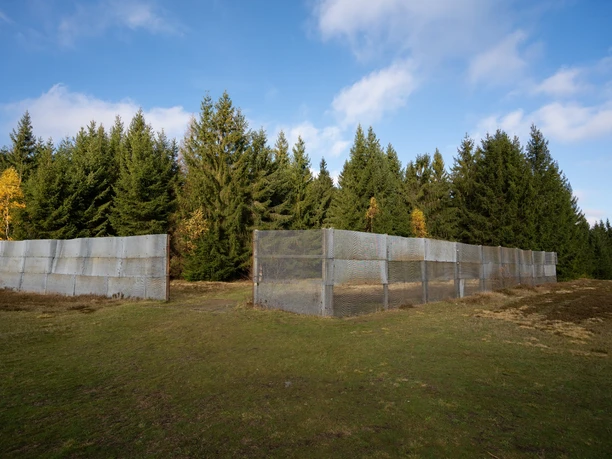Grenzzaun in Sorge