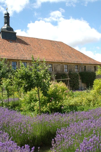 Kloster Michaelstein - Blick in die Gemüsegärten