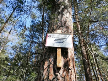 Ausschilderung Rundweg Nr. 6