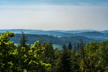 View from the WeltWald near Bad Grund to the west