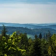 Blick vom WeltWald bei Bad Grund nach Westen