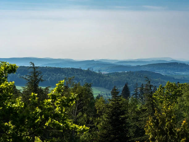Blick vom WeltWald bei Bad Grund nach Westen