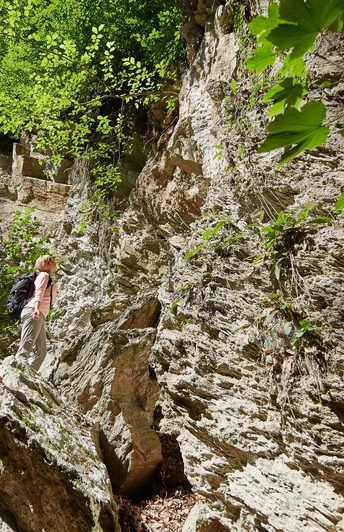 Dinsterbachschwinde Questenberg